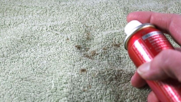 Ein rotes Haarspray wird auf einen Teppich gespr&uuml;ht, um Flecken zu entfernen, w&auml;hrend die Hand das Spray h&auml;lt.