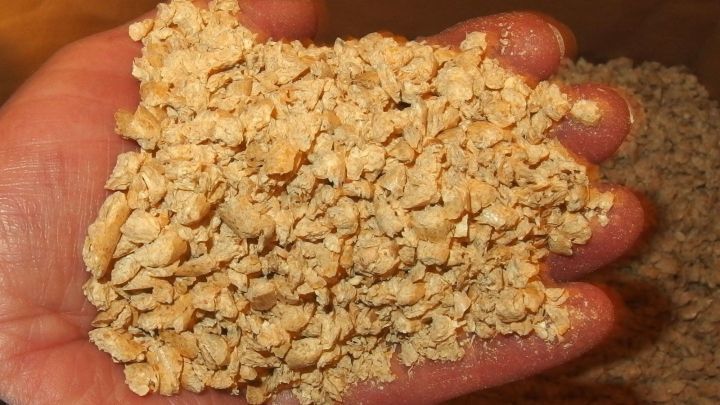 Eine Hand h&auml;lt Holz-Pellets, w&auml;hrend sie in einem nat&uuml;rlichen, hellen Umfeld pr&auml;sentiert werden, ideal als Katzenstreu.