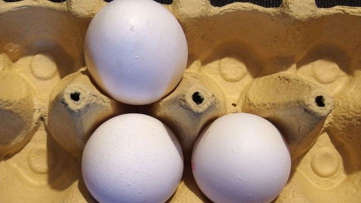 Drei wei&szlig;e Eier liegen in einem Eierkarton, umgeben von weiteren leeren F&auml;chern f&uuml;r Eier von &bdquo;alten Hennen&ldquo;.