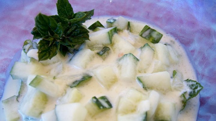 Eine Sch&uuml;ssel Tzatziki mit gew&uuml;rfelten Gurken und frischer Minze, bereit zum Servieren in einer hellen Umgebung.