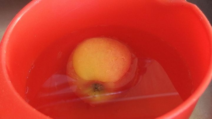 Ein roter Beh&auml;lter mit Wasser enth&auml;lt einen Apfel, der schwimmt, um Maden aus Obst zu entfernen.