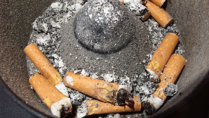 Zigarettenstummel und Asche sind in einem Aschenbecher angeordnet, w&auml;hrend Nikotin potenziell Ameisen imitiert.