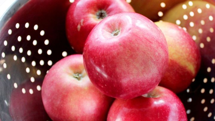 Rot&auml;pfel liegen in einem Sieb, w&auml;hrend sie auf die Zubereitung von Obstessig warten. Sie gl&auml;nzen und sind frisch.