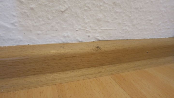 Sockelleisten aus Holz stehen sauber und ohne Streifen, w&auml;hrend der helle Boden und die wei&szlig;e Wand den Raum auflockern.