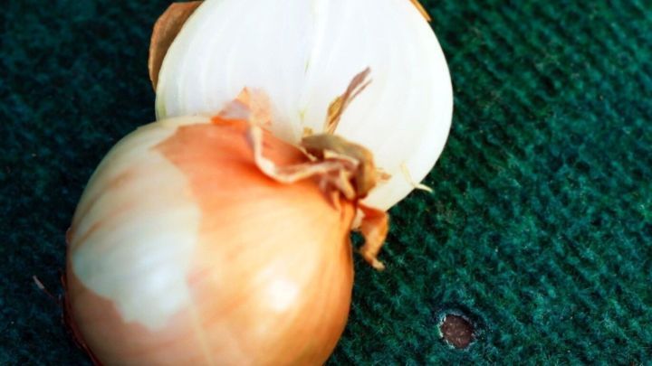 Eine halbierte Zwiebel liegt auf einem gr&uuml;nen Teppich, bereit zur Anwendung gegen Brandflecken.