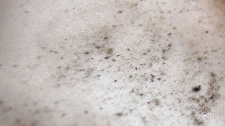 Ein verschmutzter Stoff zeigt viele schwarze Stockflecken, die auf Schimmel hinweisen, in einem hellen, eher neutralen Umfeld.