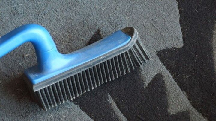 Ein blauer Gummibesen liegt auf einem Teppich und entfernt Tierhaare. Der Teppich hat eine strukturierten Oberfl&auml;che.