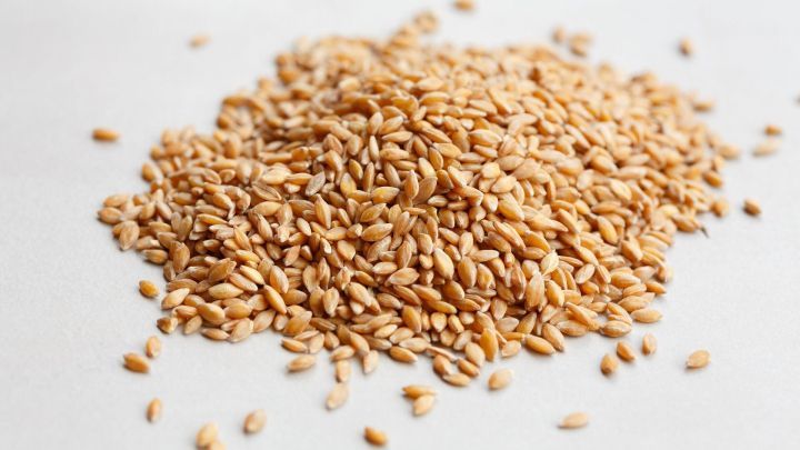 Einkornk&ouml;rner liegen in einer lockeren Pyramide auf einem hellen, neutralen Untergrund und erwarten die Verarbeitung.