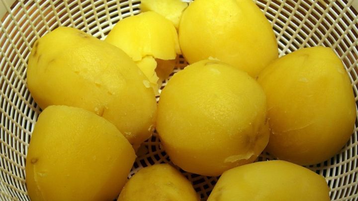 Muffige Kartoffeln liegen in einem Sieb, wo sie auf die Zubereitung zum Kochen warten. Ihre Oberfl&auml;che ist leicht uneben.