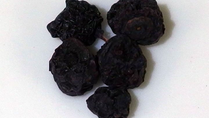 Dunkle, getrocknete Heidelbeeren liegen auf einer wei&szlig;en Oberfl&auml;che und warten darauf, als nat&uuml;rliche Hilfe bei Durchfall verwendet zu werden.