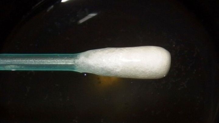 Ein Wattebausch steht auf einem gr&uuml;nen St&auml;bchen und reflektiert Licht, w&auml;hrend er vor einem dunklen Hintergrund platziert ist.