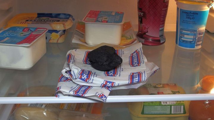 Eine schwarze, verschimmelte Lebensmittelverpackung liegt auf einem Handtuch im K&uuml;hlschrank, umgeben von verschiedenen Essensbeh&auml;ltern.