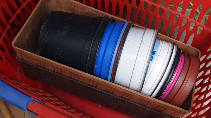 Bunte Plastik-Blument&ouml;pfe liegen gestapelt in einem Korb, bereit zum Umsetzen, umsonst auf einem Friedhof.