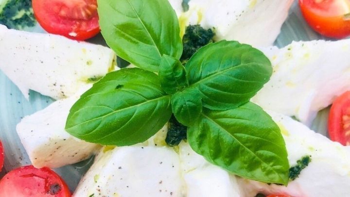 Frischer Mozzarella liegt auf einem Teller, umgeben von halbierten Tomaten und einem Hauch Basilikum.