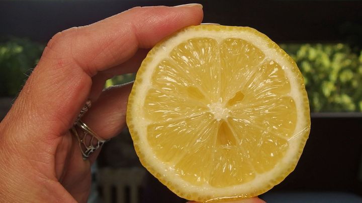 Eine handh&auml;lt eine frische Zitronenscheibe, die zum Lindern einer leichten Verbrennung an der Zunge verwendet wird, im Raum.