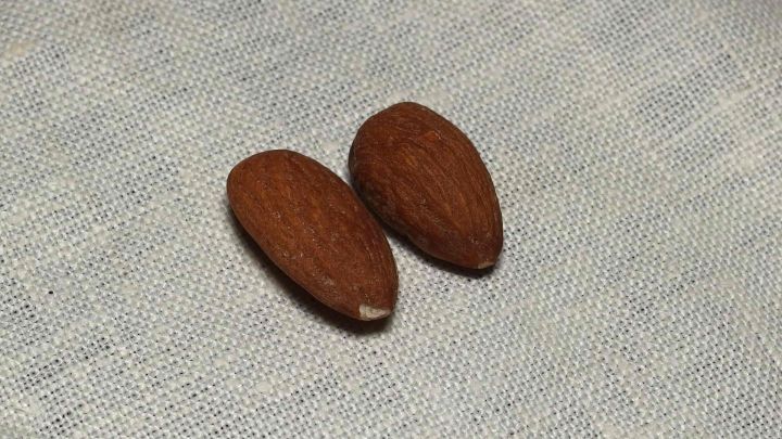 Zwei braune Mandeln liegen auf einem grauen Tuch, bereit zum Verzehr, um Sodbrennen zu lindern.