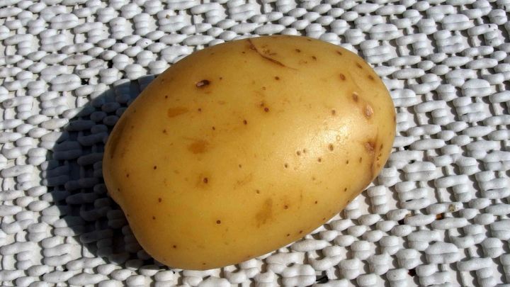 Eine Kartoffel liegt auf einem hellen, strukturierten Untergrund, bereit, gegen Spinatflecken eingesetzt zu werden.