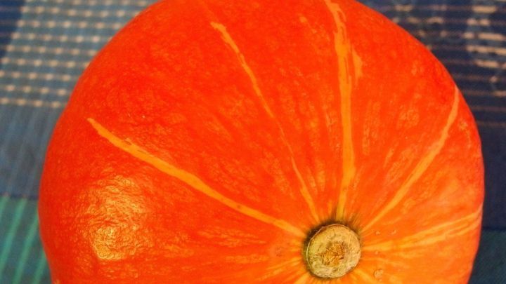 Ein orangefarbener K&uuml;rbis liegt auf einer karierten blauen Unterlage, bereit f&uuml;r die Halloween-Dekoration.