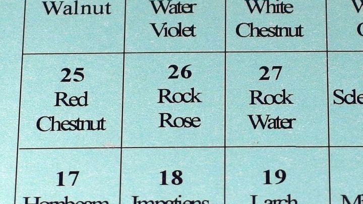 Eine Tabelle zeigt verschiedene Bachbl&uuml;ten wie "Red Chestnut" und "Rock Rose" zur Heilung bei verstopfter Nase.