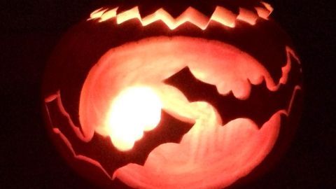 Ein leuchtender Halloween-Kürbis zeigt fliegende Fledermäuse im Inneren, umgeben von Dunkelheit.