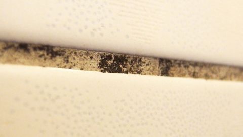 Eine verfärbte Silikonfuge zeigt Schimmel, der zwischen zwei weißen Wandflächen auftritt, was eine häufige Herausforderung darstellt.