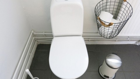 Toilettenwasser sparen