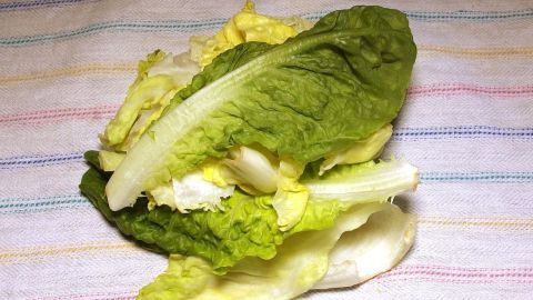 Ein frischer Salat mit grünen Blättern liegt auf einem gestreiften Tuch, während er vorbereitet wird, ohne eine Salatschleuder zu benutzen.