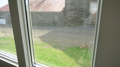 Ein Fenster mit Streifen zeigt eine leicht verschwommene Sicht auf einen grünen Garten und ein altes Gebäude im Hintergrund.