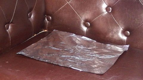 Ein braunes Sofa hat ein Plastikblatt darauf gelegt, um das Sofa vor dem Urinieren der Katze zu schützen.