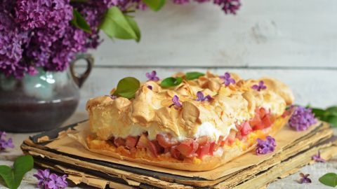 Rhabarberkuchen mit Quark: Ein saftiger Kuchentraum mit frischem Rhabarber. Perfekt für den Frühlingstisch!