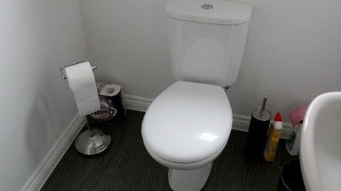 Toilettenreinigung zum Schmunzeln
