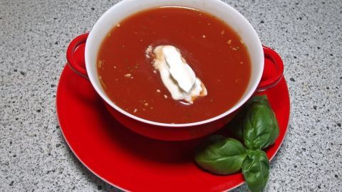 Eine rote Schüssel mit Tomatensuppe, garniert mit Sahne, steht auf einem roten Teller neben frischem Basilikum.