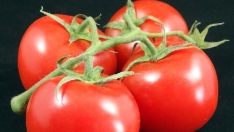 Frische Tomaten liegen in einer Gruppe zusammen und zeigen ihre leuchtend rote Farbe auf einem schwarzen Untergrund.