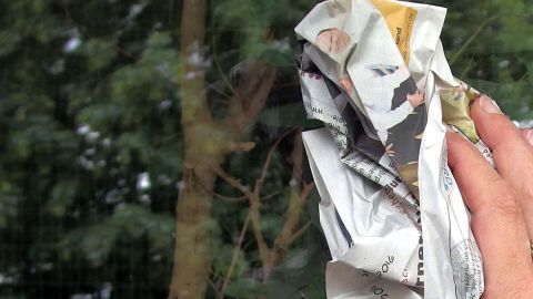 Teuers Putzmittel sparen: Fenster putzen mit Wasser und Zeitungspapier - Fenster werden blitzeblank. Eine Hand hält zerknülltes Zeitungspapier, während sie ein Fenster sauber wischt, um es blitzeblank zu machen.