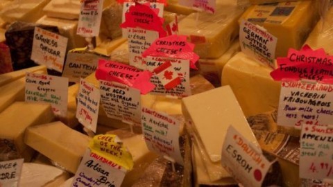 Käse bleibt mit Würfelzucker länger frisch