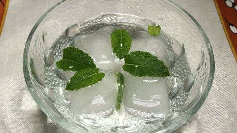 Eine klare Schüssel zeigt Eiswürfel und frische Minzblätter, die in einem kühlen, erfrischenden Getränk schwimmen.
