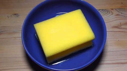 Ein gelber Schwamm liegt auf einem blauen Teller, umgeben von Wasser, bereit, um mit Essig gegen Mücken eingesetzt zu werden.