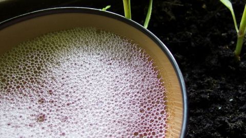 Ein schaumiges Spüliwasser in einem gelben Gefäß steht neben einem blühenden Pflanzensetting im humusreichen Boden.
