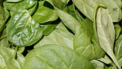 Frische Spinatblätter liegen übereinander und zeigen verschiedene Grüntöne, bereit für ein schmackhaftes Gericht.