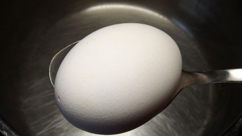 Energiesparend Eier kochen