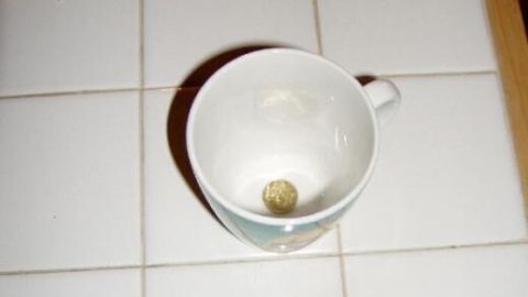 Eine leere, weiße Kaffeetasse steht auf einem gefliesten Tisch mit einer einzelnen Kaffeebohne darin.