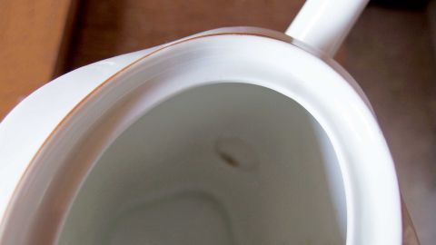 Mit Minztee entfernt man alle Ablagerungen in einer Kanne Eine weiße Kanne zeigt Rückstände von Minztee im Inneren, die gründlich entfernt werden sollten, um Gerüche zu vermeiden.