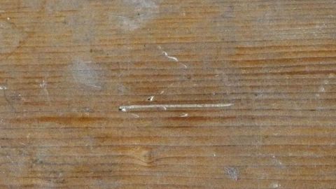 Ein Holzpanel zeigt sichtbare Kratzer und Abnutzungserscheinungen auf der Oberfläche in einem hellbraunen Farbton.