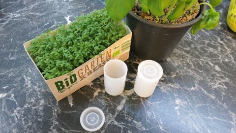 Gehackte Kräuter in Döschen aus Überraschungseiern oder leeren Filmdosen einfrieren. Kleine Plastikdosen liegen neben einer Kräuterbox auf einer Tischfläche, bereit zum Einfrieren von Kräutern.
