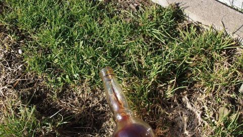 Eine braune Flasche wird auf dem Rasen gehalten, um Hunde vom Vorgarten fernzuhalten. Der Rasen ist grün und gepflegt.