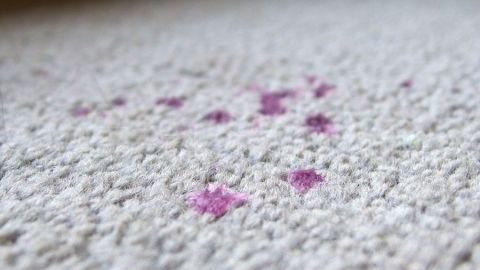 Wachsflecken entfernen mit Löschpapier und Bügeleisen. Ein Teppich hat mehrere Wachsflecken in einer lila Farbe, die entfernt werden müssen. Der Kontext ist ein heller Raum.