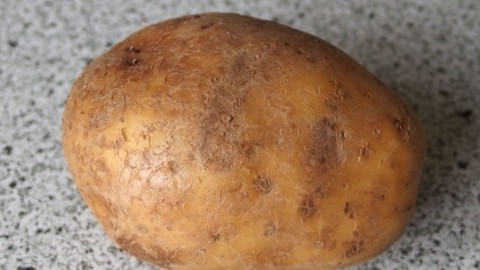 Schwarze Flecken auf den Kartoffeln