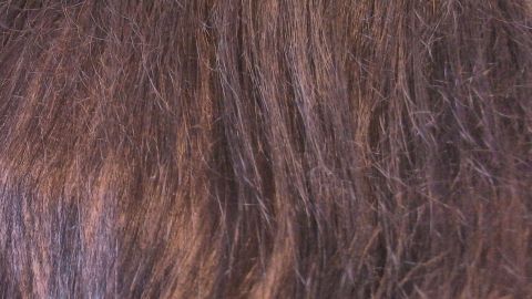 Langes, leicht gewelltes Haar in verschiedenen Brauntönen ist im Vordergrund sichtbar, zeigt die Textur und Gesundheit der Haare.
