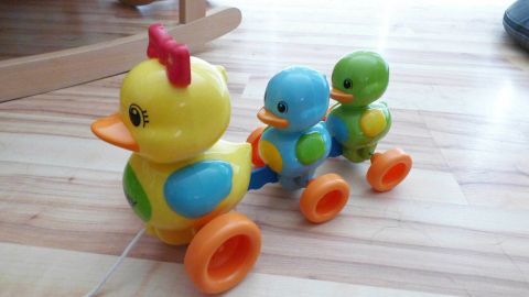 Ein farbenfrohes Plastikspielzeug in Form einer Ente zieht zwei kleine Küken auf Rädern über einen Holzfußboden.