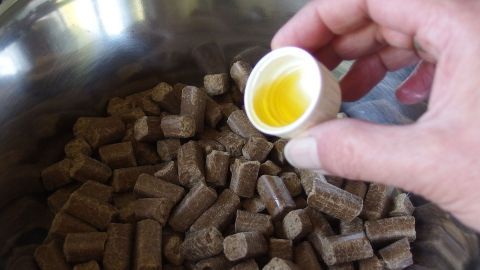 Eine Hand hält einen kleinen Becher mit Öl, während sie über Trockenfutter für Hunde in einer Schüssel ist, um die trockene, schuppige Haut zu bekämpfen.